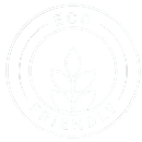 Eco-Friendly Practices